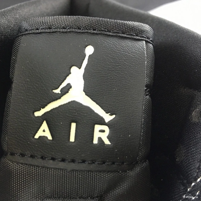 Fossil High Mushroom Premium AH7389-003 1 Air Jordan WMNS 1209